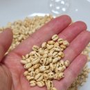 워리워리 | 노워리보리팝 후기 당뇨간식 다이어트과자 인생쌀집 곡물과자