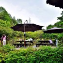 삼선산 수목원 이미지