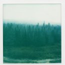 철원군청 주민생활지원과 | 노인 보청기 국가보조금 131만 원 지원 자격 및 청각장애 등록 절차 완벽 가이드