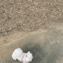 신둔천 2 이미지