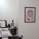 안경본데이 이미지