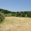 경기도 양평군 조현초등학교 이미지