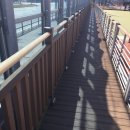 론볼경기장 이미지