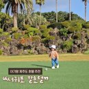 한진1농장 | 아기랑 제주도 호텔 추천 _ 서귀포 칼호텔 온돌룸 226호(feat. 두 돌)