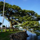 수산리-6 이미지