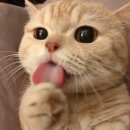 와따PC방 이미지