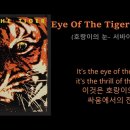 Eye of the tiger --- Survivor 이미지