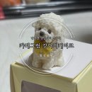 강아지그림 | 멍멍로그, 반려견 생일에 추천! 아이디어스 카페그림 강아지 마이크로케이크 주문 솔직 후기 #내돈내산
