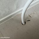 수원팻월드 이미지