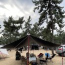 서해안오토 이미지