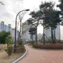 생기율공원 네이버블로그