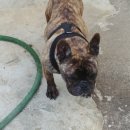 희성동물병원 이미지