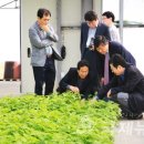 식생원 국제뉴스