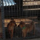 우리두리 이미지