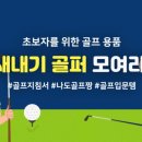 다이소골프