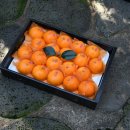 예수농산