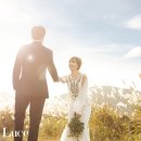 박효주 카카오 검색결과