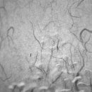 양양늘솔길 이미지