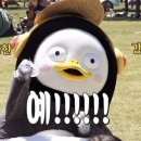 구일일