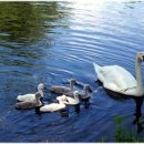 미주민박 이미지