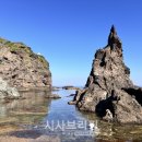 독도 - 경주시 용황로10길 16-14 | 독도