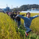 동북초등학교 이미지