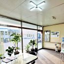 광성카독크 이미지