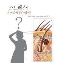퀸피부관리 - 수성구 | 퀸피부관리