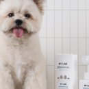 세정헬스케어 이미지