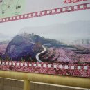 제2회- 5월8일(토) 평곡(平谷)-복숭아꽃축제와 딸기밭에서 딸기따기 이미지