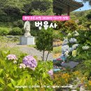 대우당 - 창원시 진해구 냉천로 34-1 | 6월 여름 여행지 부산 영도 사찰 법융사 수국 실시간 영도 혼자 여행 갈만한곳