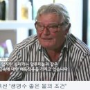규소 네이버블로그
