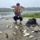 이천낚시터 이미지