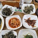 다올협동조합 | 대전 유성구 한식 맛집 산채 전문점 다올 곤드레돌솥정식 내돈내산