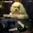 용남농장 이미지