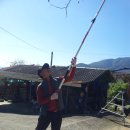 김용수농장 이미지