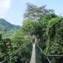 다리 bridges 이미지