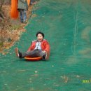 피자마을 이미지