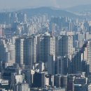 541 이미지