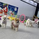 사랑한다, 멍 이미지