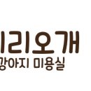 이리오개 이미지