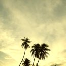 정곤네 | 움직임 속의 고정