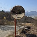 토지초교 | 2026 지리산 봄꽃레이스 13k 트레일러닝 후기