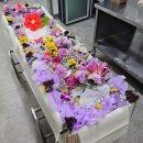 윤서병원 | [구리시 윤서병원장례식장 무빈소장례 후기] 구리윤서병원 장례식장에서 기독교 무빈소 장례, 정성과 꽃...