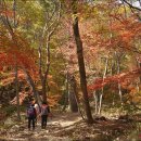 문경새재 이미지