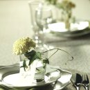 이지플라워 이미지