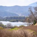 인다락벚꽃길 이미지