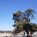 모산초등학교 이미지