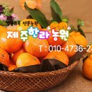 일호농장 이미지