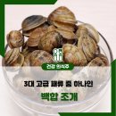 백합 이미지